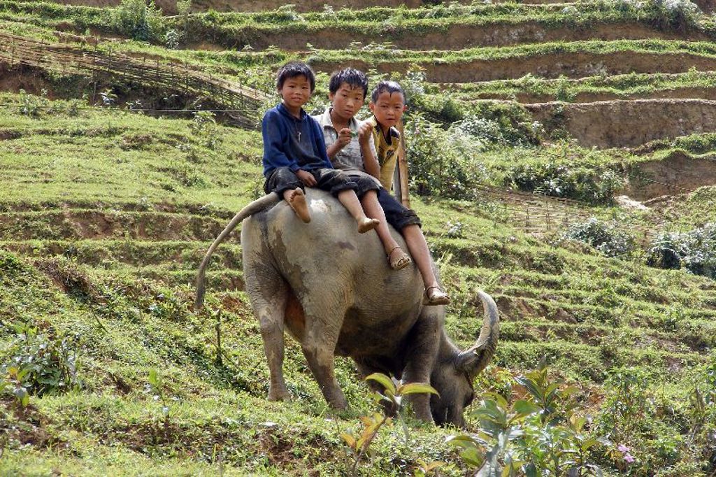 Kinderen in Sapa