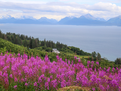 Route 2024 Alaska, 22 dagen - Day 19