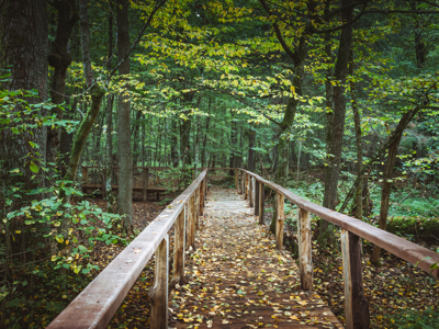 Route Polen, 14 dagen - Dag 6