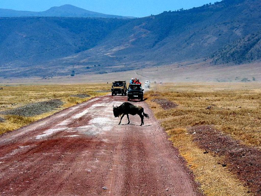 Ngorongoro krater
