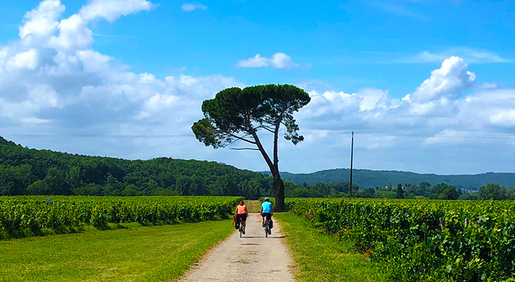 Fietsen in Frankrijk Fietsen in Frankrijk