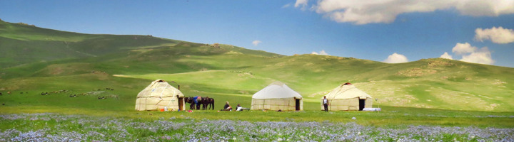 Yurts op groene bergweide in Kirgistan, ideaal voor rondreizen, familiereizen, groepsrondreizen en wandelvakanties.