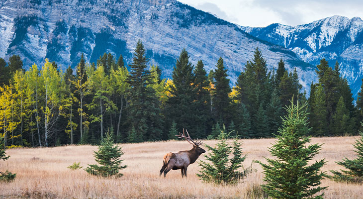 Banff Nationaal Park Canada