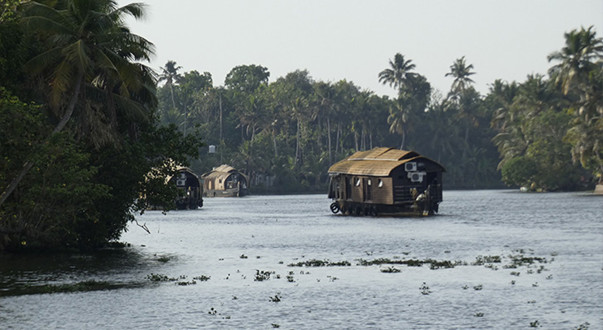 Backwaters Zuid-India