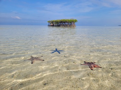 Route Filipijnen, 24 dagen - Day 10