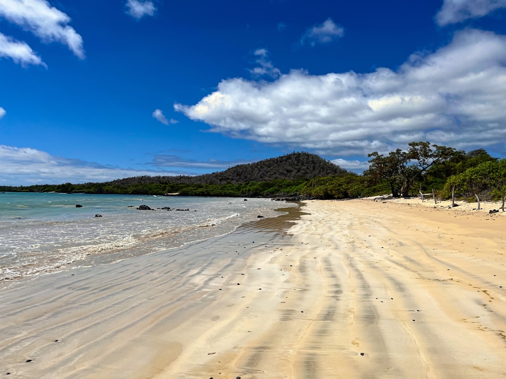 EAF - Santa Cruz Galapagos - shutterstock_2549548193.jpg