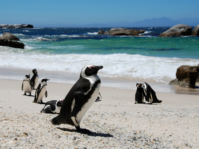Route Zuid-Afrika - Dag 3