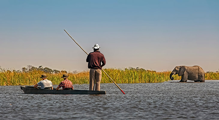Mokoro en een olifant in de Okavango Delta