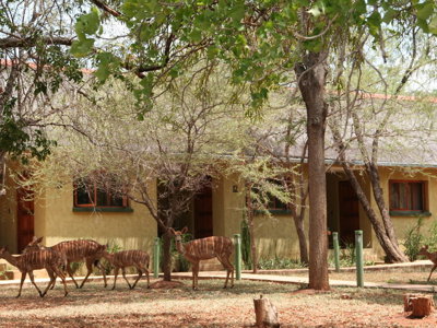 Kubu Safari Lodge