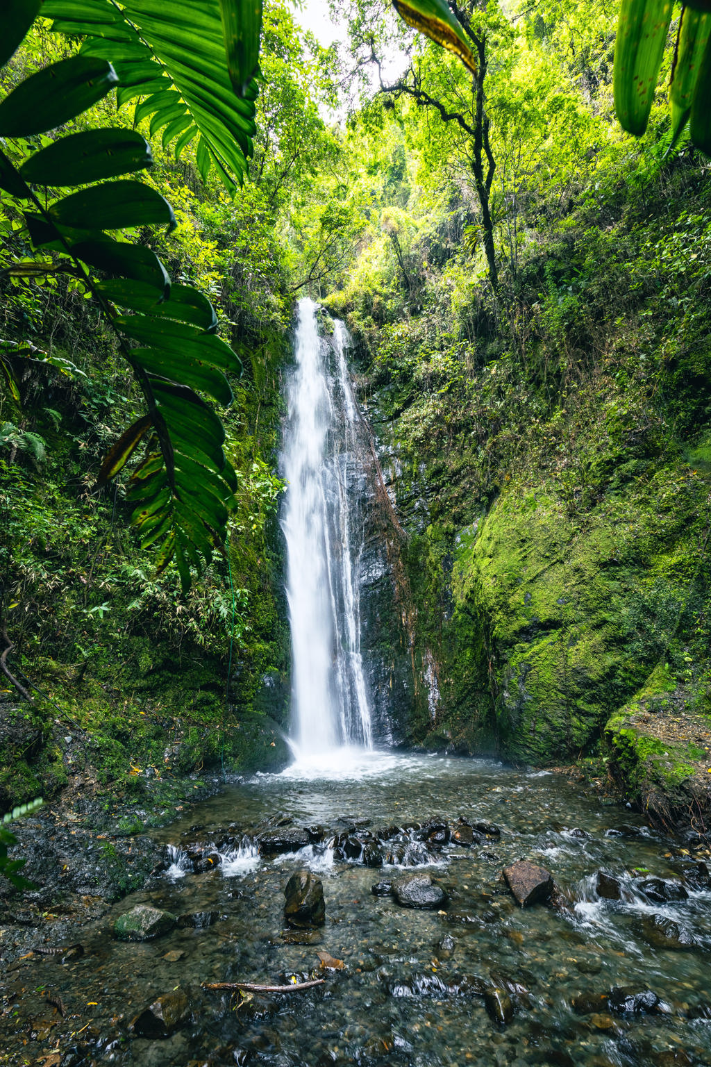 ECF - El Palto waterval, Vilcabamba - shutterstock_2151435021.jpg