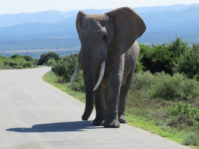 Route Kaapstad - Johannesburg, 17 dagen - Dag 11