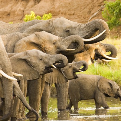 Familiereis Namibië, Botswana en Zimbabwe