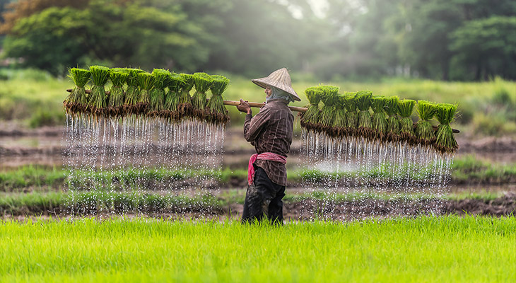 Reizen in het regenseizoen