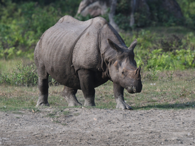 Route Sikkim en Bhutan, 21 dagen - Dag 10