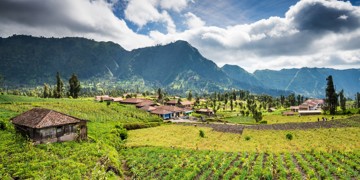 Groene rijstvelden en dorp in de bergen op Java tijdens de Route Java en Bali.