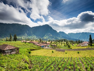 Groene rijstvelden en dorp in de bergen op Java tijdens de Route Java en Bali.