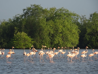 Route Suriname, 26 dagen - Dag 6