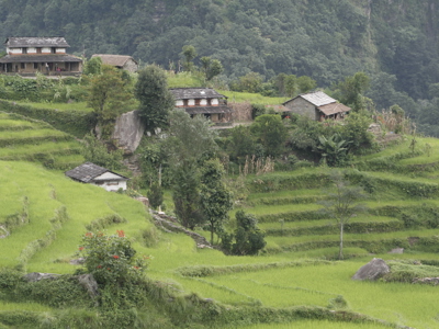 Route Nepal Annapurna, 23 dagen - Dag 6