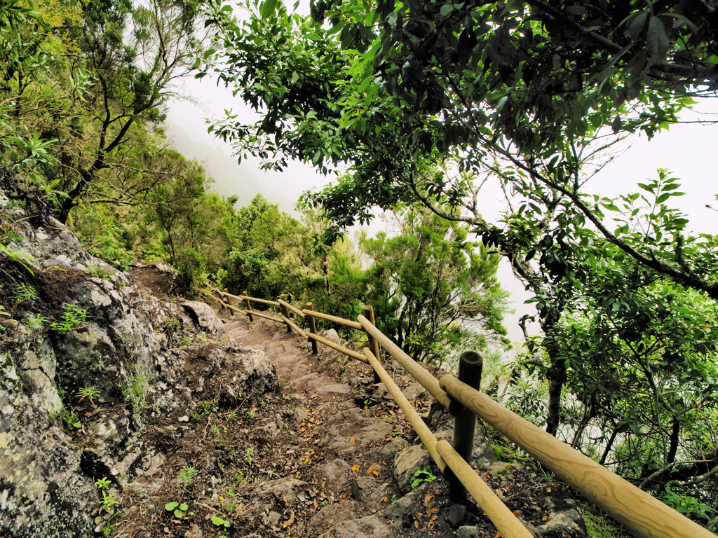 La Gomera Garanojay NP