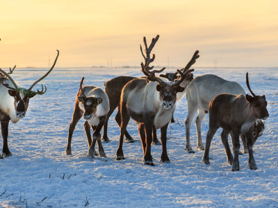 Route Finland, 8 dagen (OUD) - Day 5