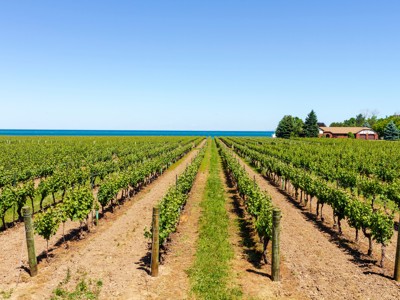 Route Oost-Canada, 12 dagen - Day 2