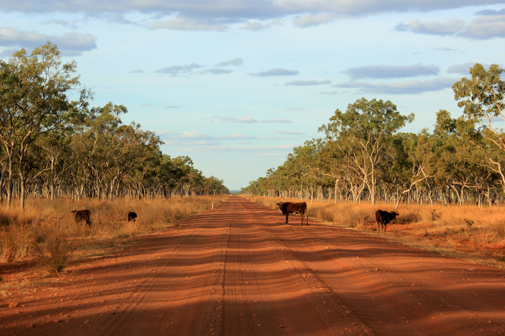 Gibb river road