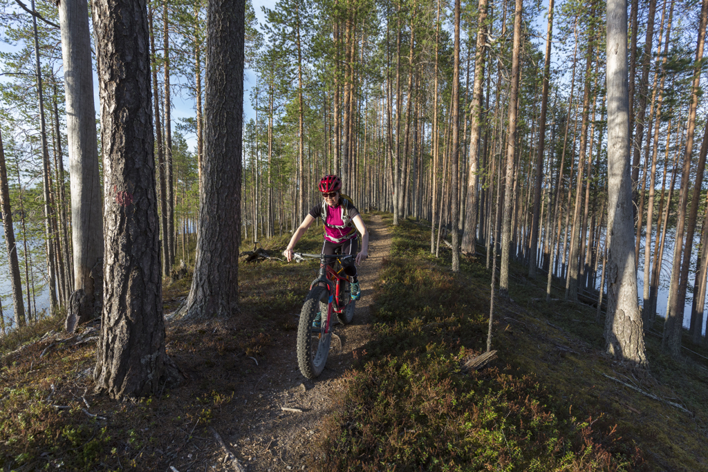 Rondreis Finland Zomer