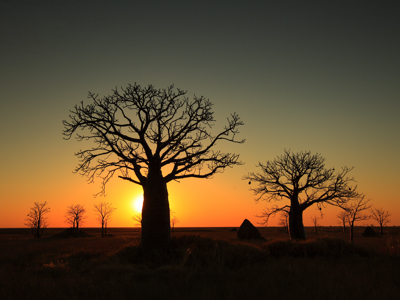 Route West Australië, 25 dagen - Day 22