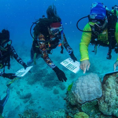 Puur Sawadee - Great Barrier Reef tours