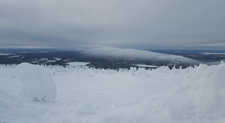 Landschap in Lapland Landschap in Lapland