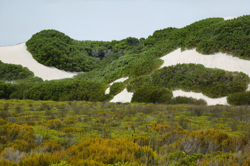 Rondreis Zuid-Afrika De Hoop Natuur Reservaat