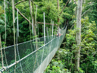 Route Maleisië, 18 dagen (2023) - Dag 11