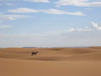 Route Marokko, 14 dagen - Dag 7