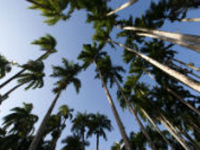 Route Suriname, 26 dagen (2019) - Dag 19