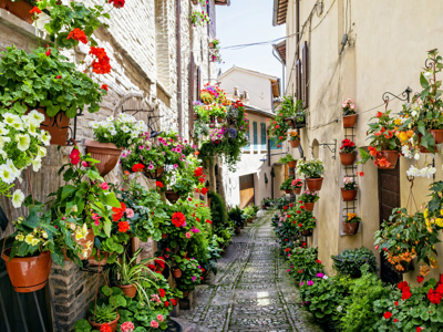 Route 14 daagse wandelvakantie De Centrale Apennijnen - Day 2