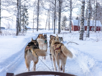 22-35ers reis Finland - Day 5