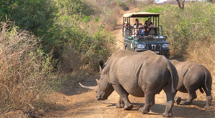 Kom niet te dicht bij dieren