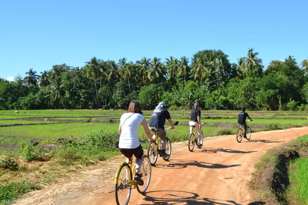 main_DSC_0130_-_kopie.jfif