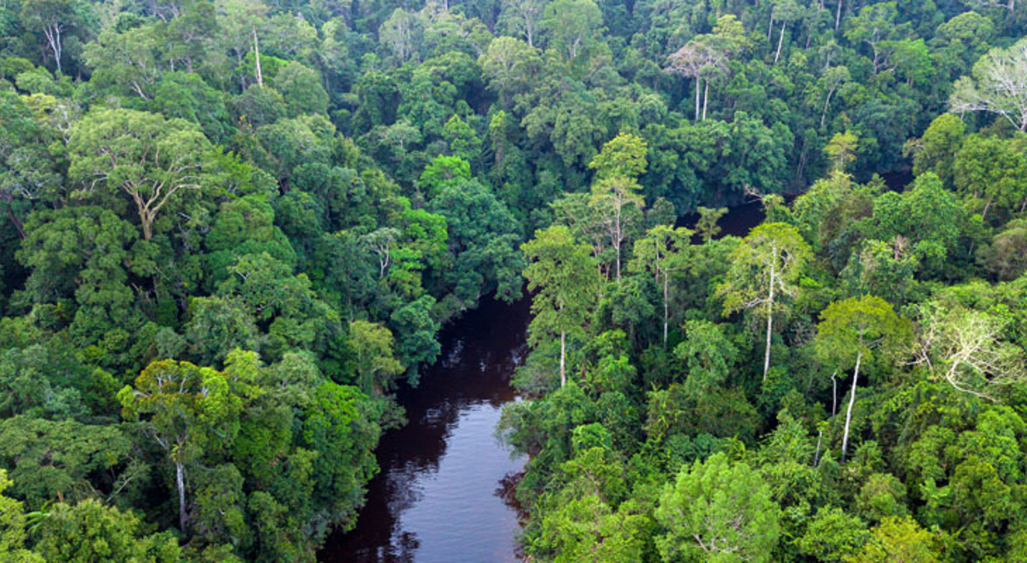 Taman Negara Maleisië