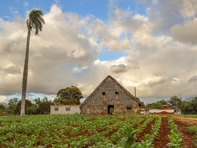 Route Cuba, 24 dagen - Day 4