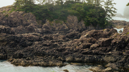 Ucluelet - Lighthouse loop
