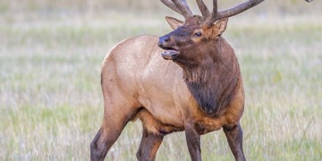 Groepsrondreis Canada West Hoogtepunten - Hotelreis