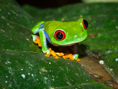 Route Costa Rica Hoogtepunten - Day 3