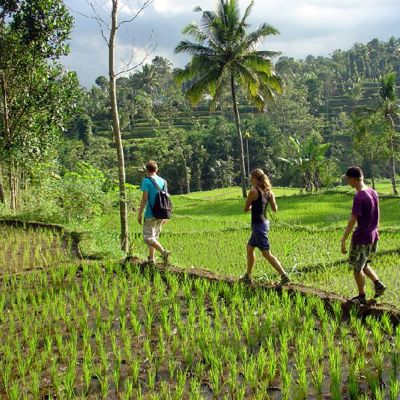 Familiereis Kleine Sunda Eilanden Indonesië