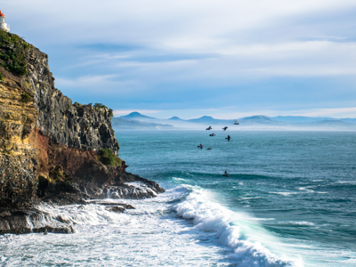 Route 1, Australië & Nieuw-Zeeland, 30 dagen - Day 16