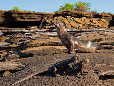 Galapagoseilanden - Day 7