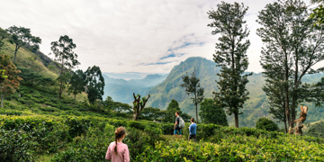 Familiereis Sri Lanka hoogtepunten