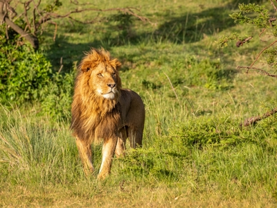 Route Kenia, Tanzania en Zanzibar, 18 dagen - Dag 3