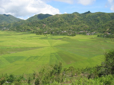 Route Kleine Sunda Eilanden, 25 dagen 2016 - Day 11