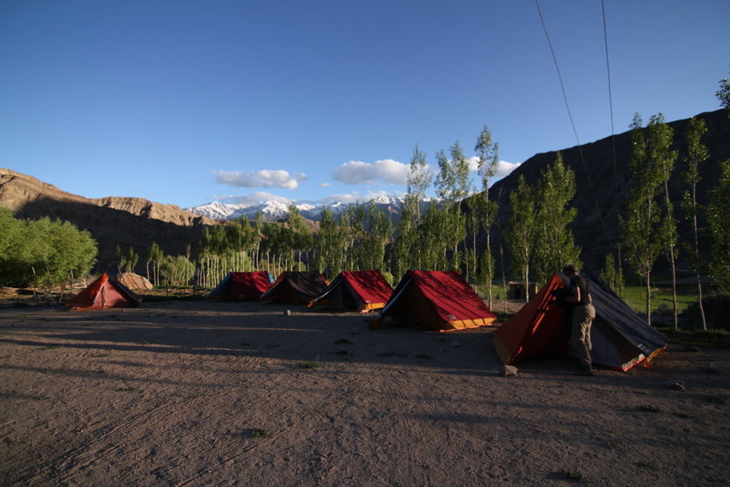 main_bastiaan_govers_LAD301__4_.jfif